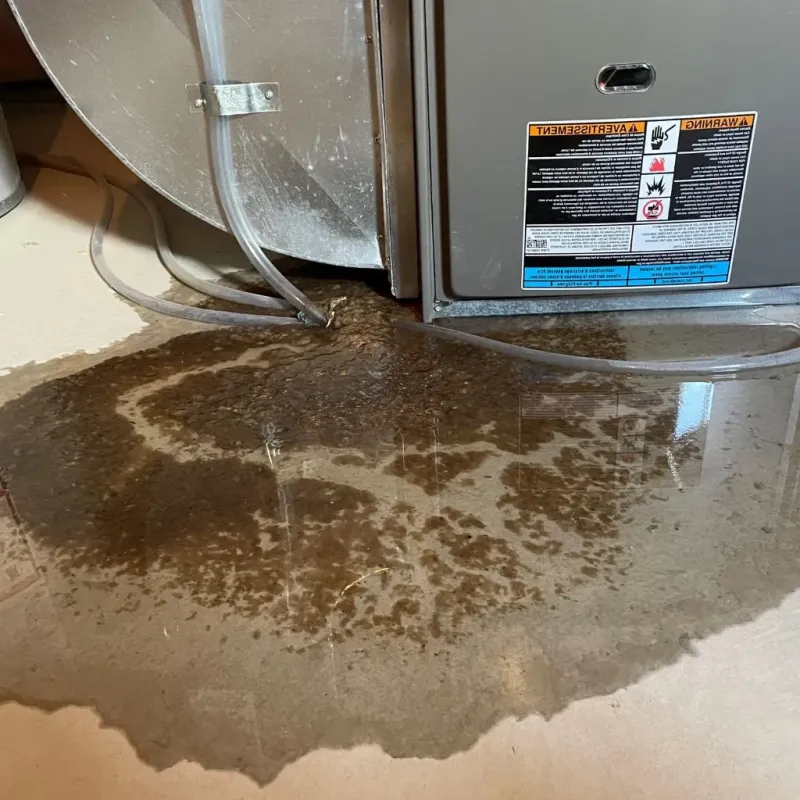 Pipe Burst and Leak Restoration in Southwood Acres, CT